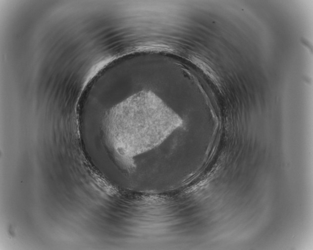 X0000095111022200712211316