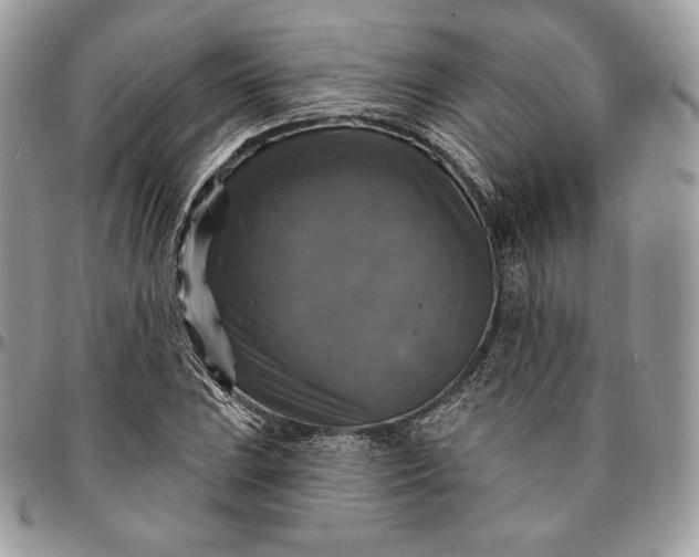 X0000095111023200712211316