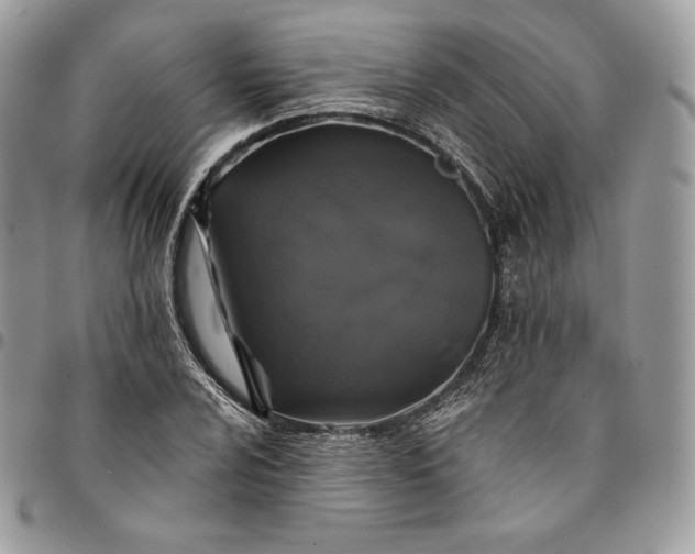 X0000095111024200712211316