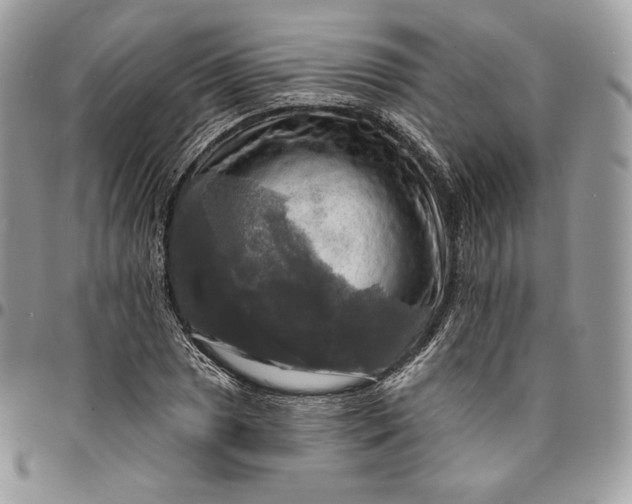 X0000095111025200712211316