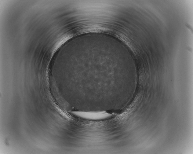 X0000095111026200712211316