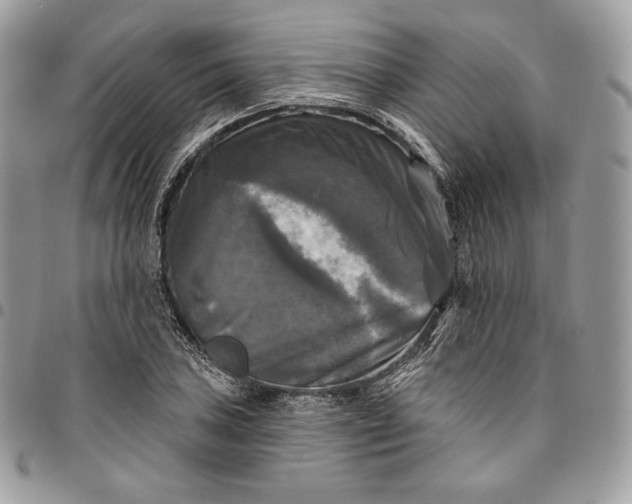 X0000095111027200712211316