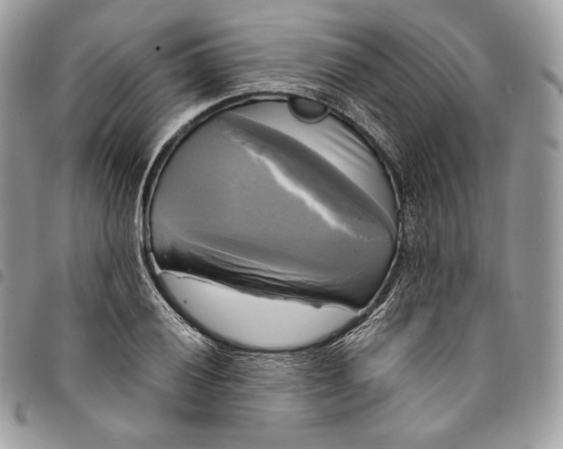 X0000095111028200712211316