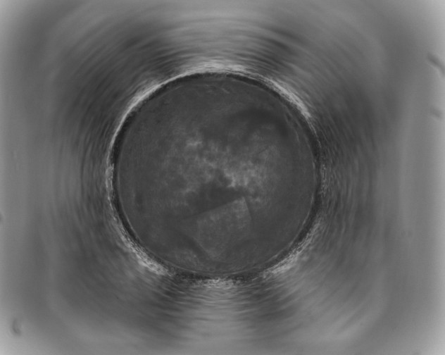 X0000095111029200712211316