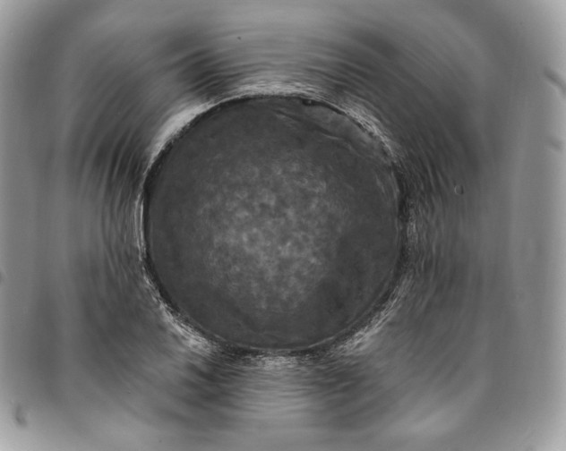 X0000095111030200712211316