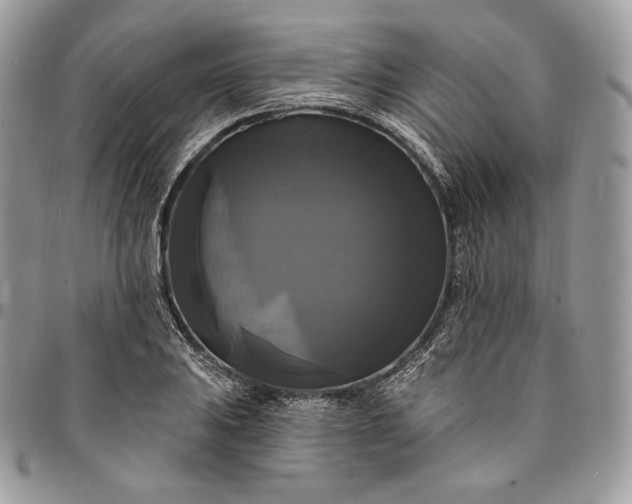 X0000095111031200712211316