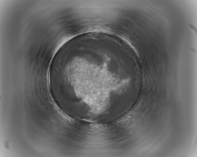 X0000095111032200712211316