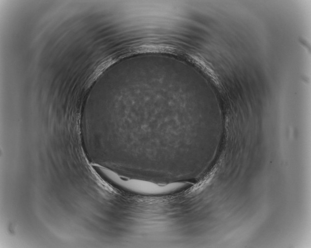 X0000095111033200712211316