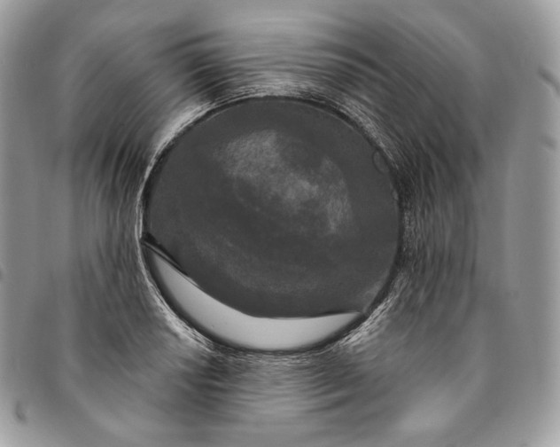 X0000095111034200712211316