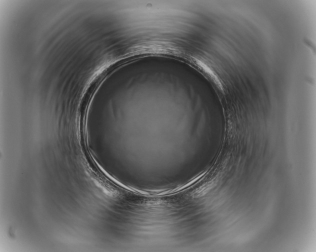 X0000095111035200712211316