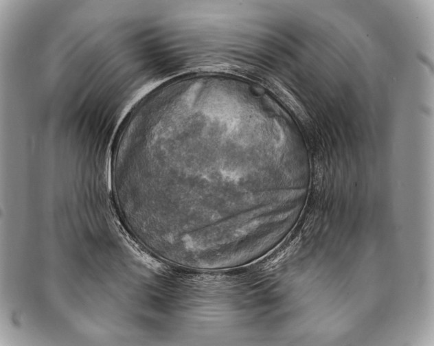 X0000095111036200712211316