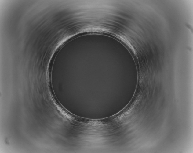 X0000095111037200712211316