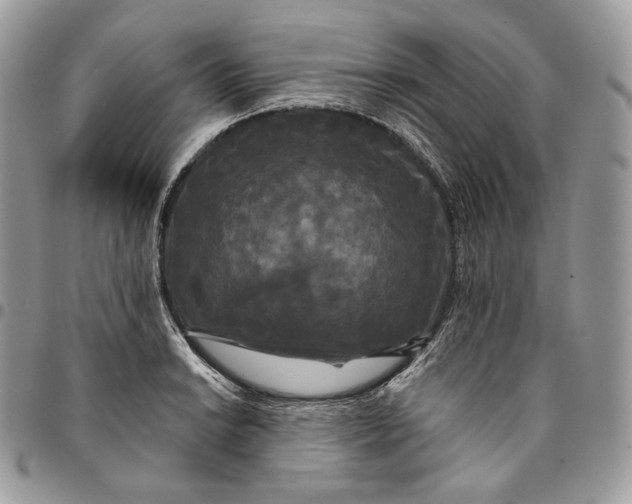 X0000095111038200712211316