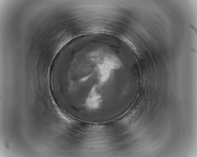 X0000095111039200712211316