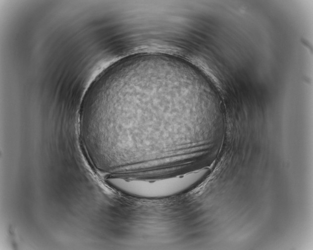 X0000095111040200712211316