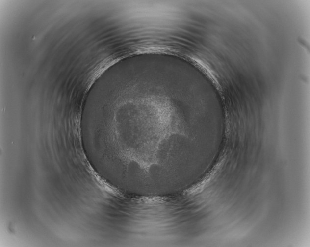 X0000095111041200712211316