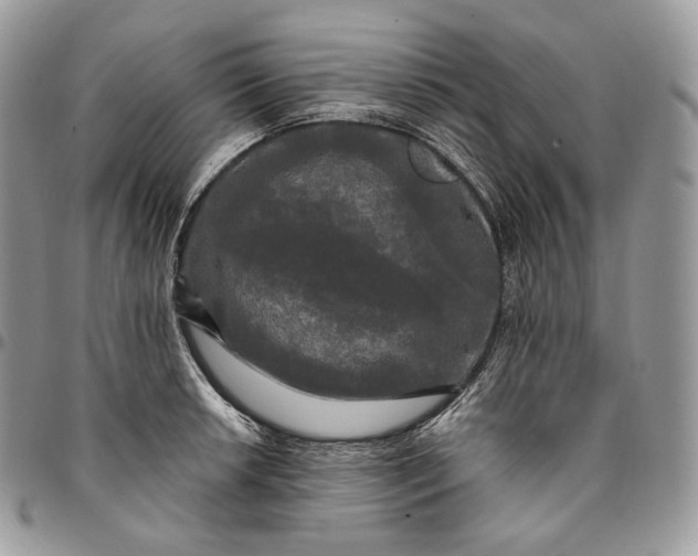 X0000095111042200712211316