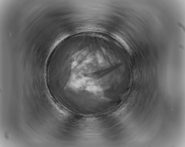 X0000095111043200712211316