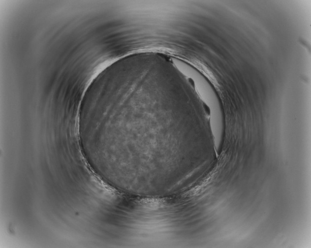 X0000095111044200712211316