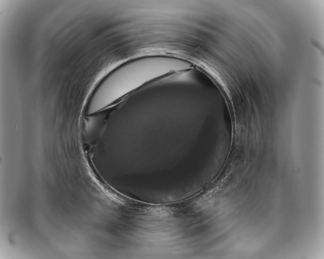 X0000095111045200712211316