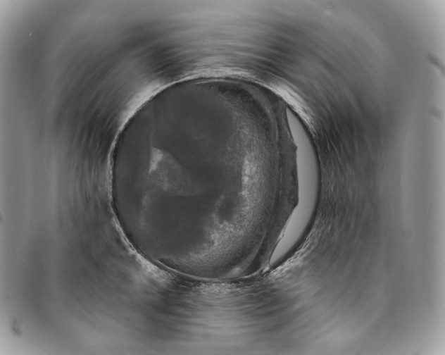 X0000095111046200712211316