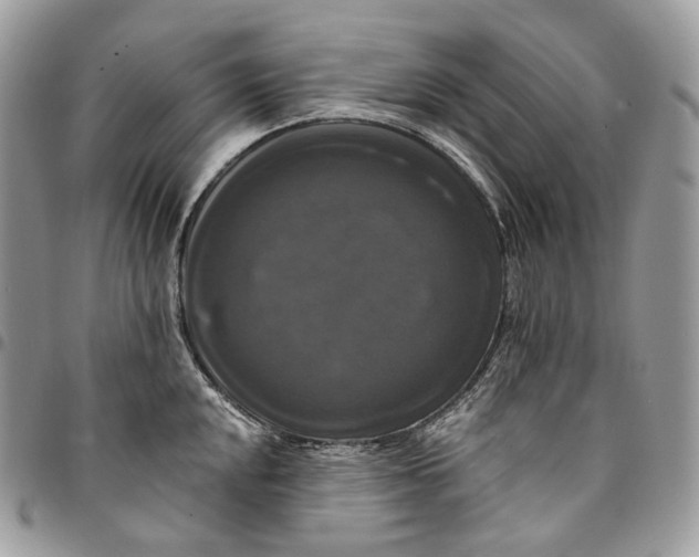 X0000095111048200712211316