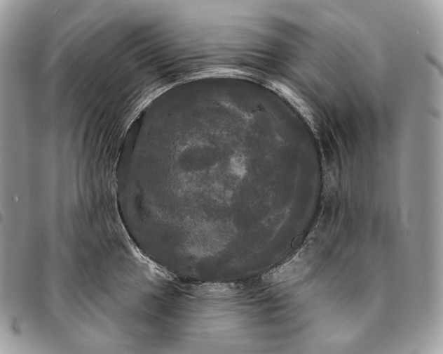 X0000095111049200712211316