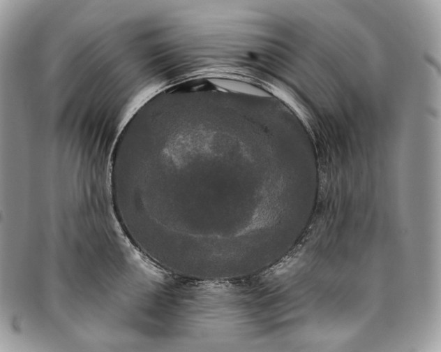 X0000095111050200712211316