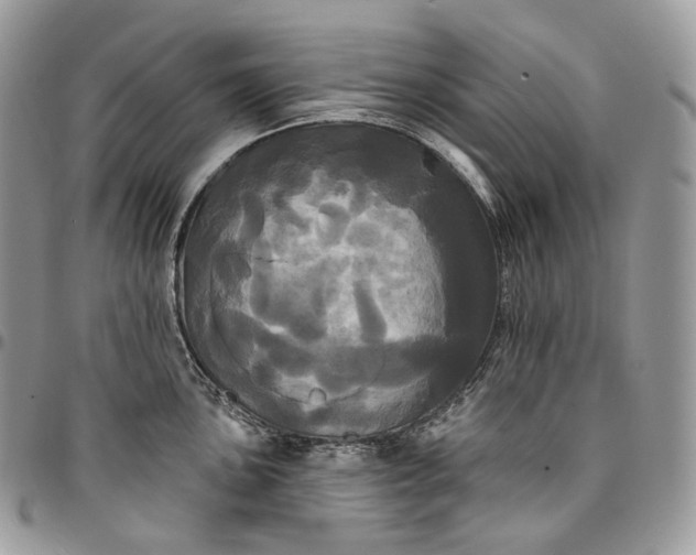 X0000095111051200712211316