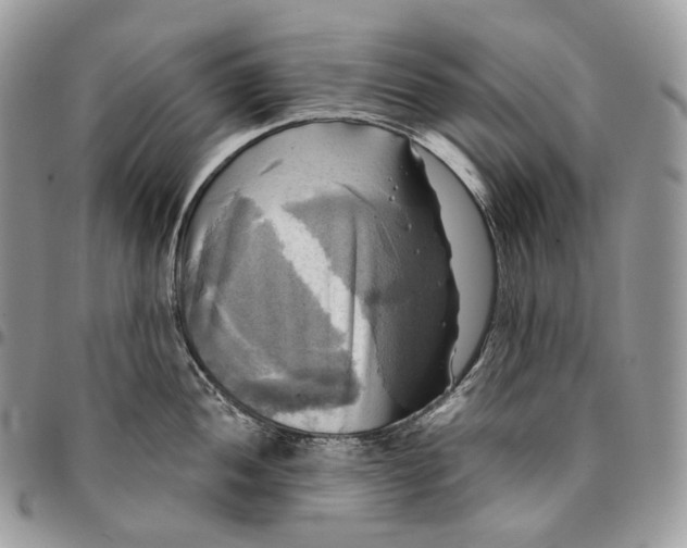 X0000095111052200712211316