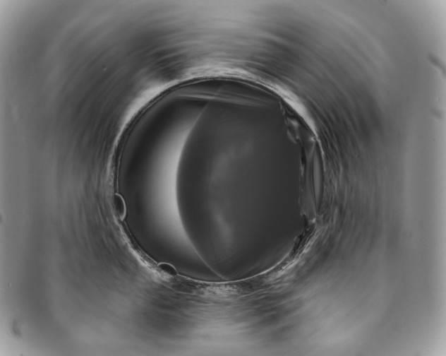 X0000095111053200712211316