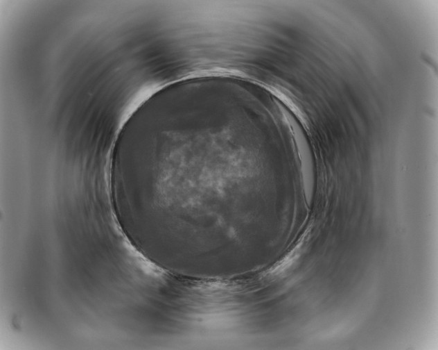 X0000095111054200712211316