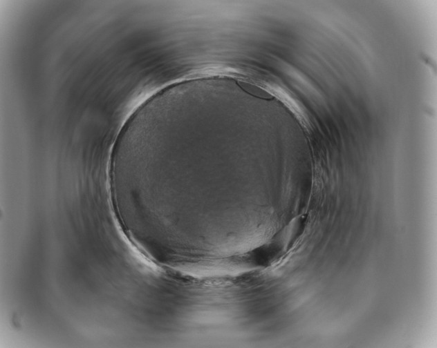 X0000095111055200712211316