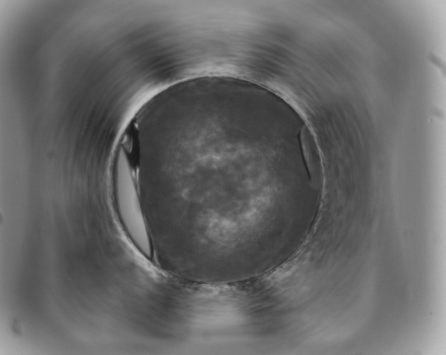 X0000095111056200712211316