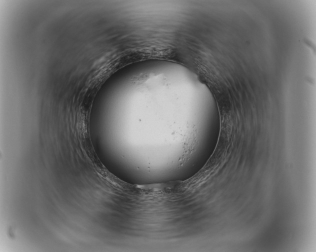 X0000095111058200712211316