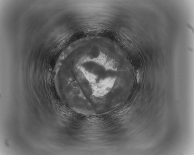 X0000095111059200712211316