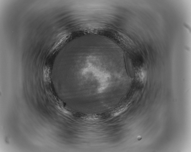 X0000095111060200712211316