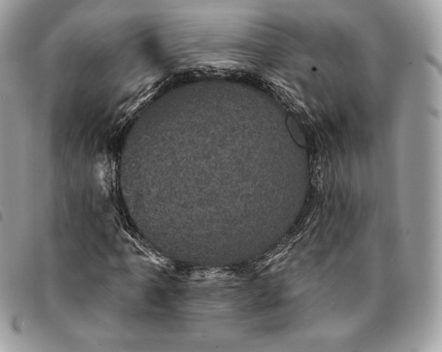 X0000095111061200712211316