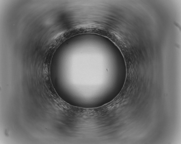 X0000095111062200712211316