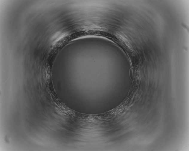 X0000095111063200712211316