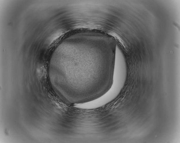 X0000095111064200712211316