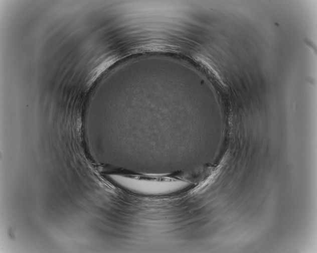 X0000095111065200712211316