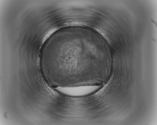 X0000095111066200712211316