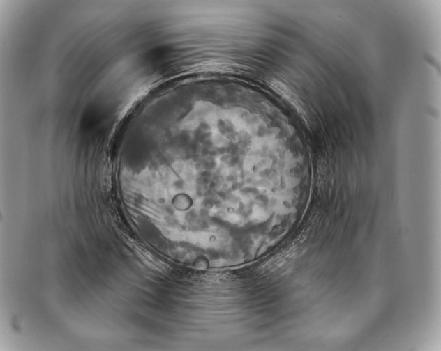 X0000095111067200712211316