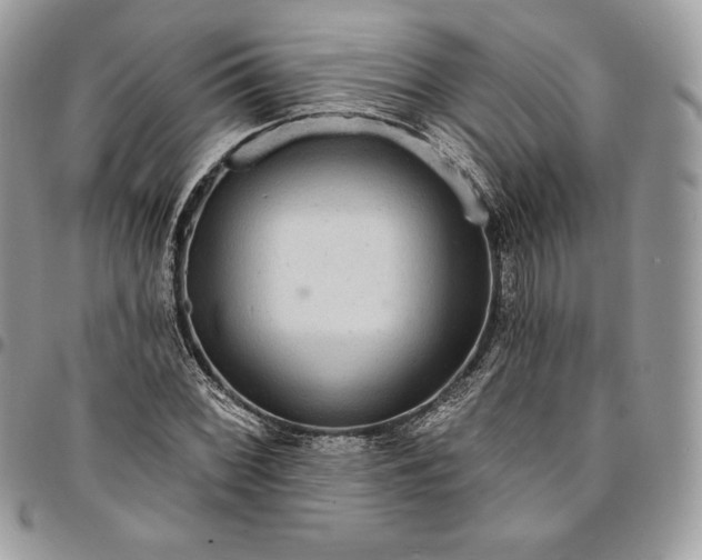 X0000095111068200712211316