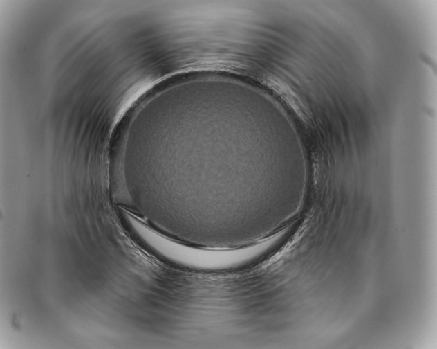 X0000095111069200712211316