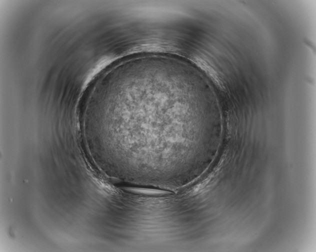 X0000095111070200712211316