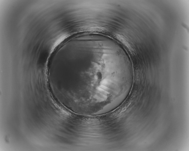 X0000095111071200712211316