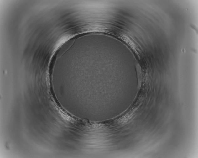 X0000095111072200712211316