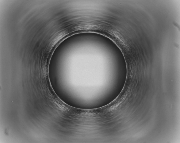 X0000095111073200712211316